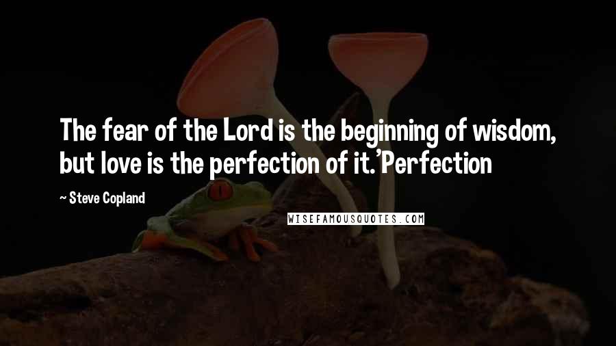 Steve Copland Quotes: The fear of the Lord is the beginning of wisdom, but love is the perfection of it.'Perfection