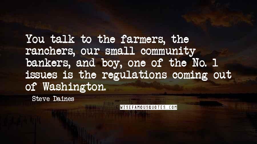 Steve Daines Quotes: You talk to the farmers, the ranchers, our small community bankers, and boy, one of the No. 1 issues is the regulations coming out of Washington.