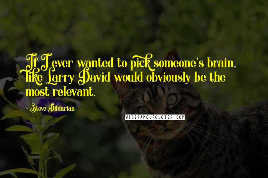 Steve Dildarian Quotes: If I ever wanted to pick someone's brain, like Larry David would obviously be the most relevant.