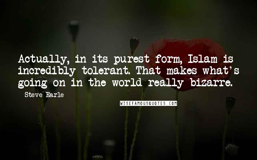 Steve Earle Quotes: Actually, in its purest form, Islam is incredibly tolerant. That makes what's going on in the world really bizarre.