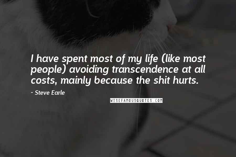 Steve Earle Quotes: I have spent most of my life (like most people) avoiding transcendence at all costs, mainly because the shit hurts.