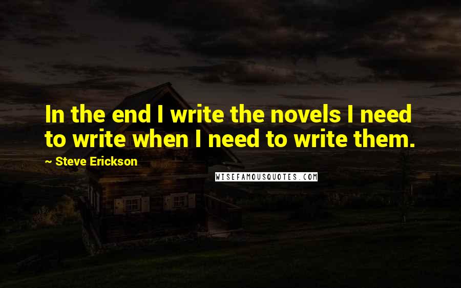 Steve Erickson Quotes: In the end I write the novels I need to write when I need to write them.