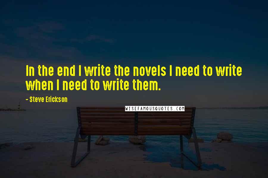 Steve Erickson Quotes: In the end I write the novels I need to write when I need to write them.