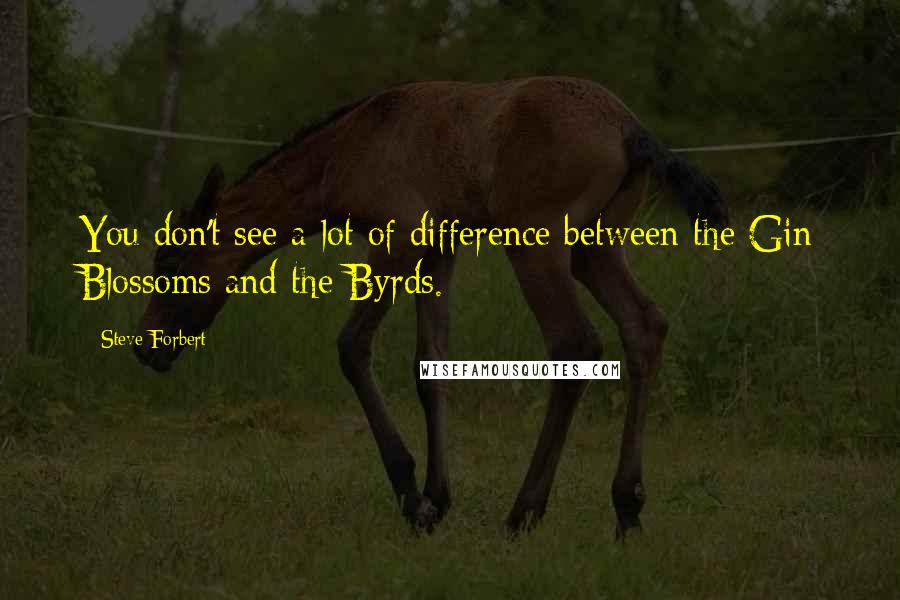 Steve Forbert Quotes: You don't see a lot of difference between the Gin Blossoms and the Byrds.