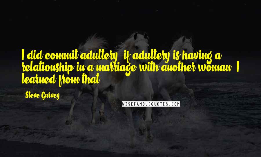 Steve Garvey Quotes: I did commit adultery, if adultery is having a relationship in a marriage with another woman. I learned from that.