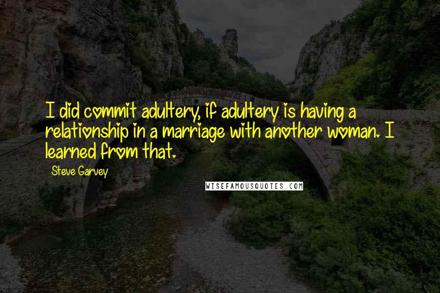 Steve Garvey Quotes: I did commit adultery, if adultery is having a relationship in a marriage with another woman. I learned from that.