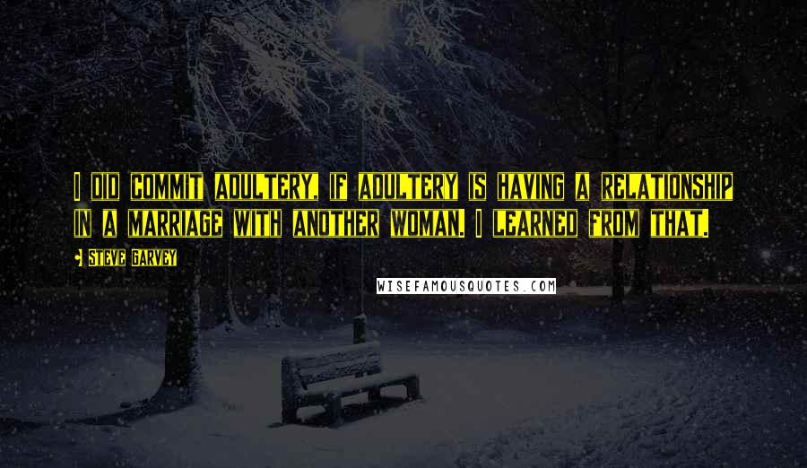 Steve Garvey Quotes: I did commit adultery, if adultery is having a relationship in a marriage with another woman. I learned from that.