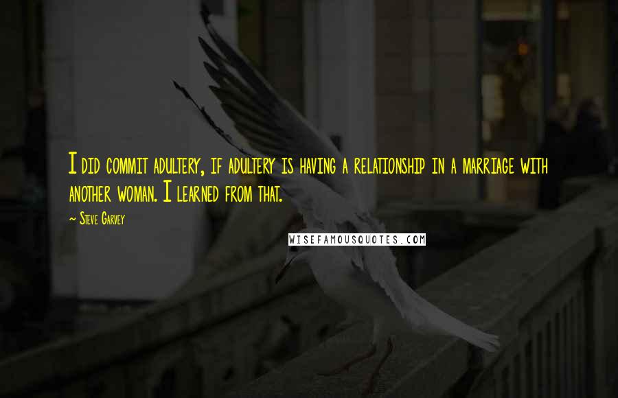 Steve Garvey Quotes: I did commit adultery, if adultery is having a relationship in a marriage with another woman. I learned from that.