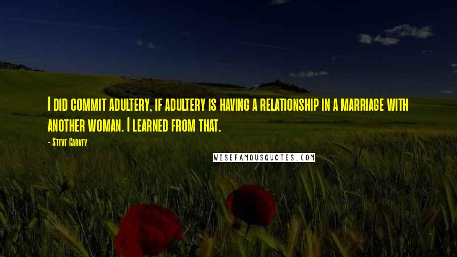 Steve Garvey Quotes: I did commit adultery, if adultery is having a relationship in a marriage with another woman. I learned from that.