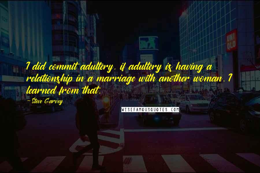 Steve Garvey Quotes: I did commit adultery, if adultery is having a relationship in a marriage with another woman. I learned from that.