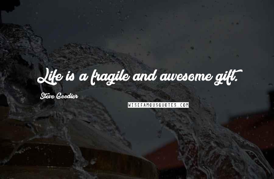 Steve Goodier Quotes: Life is a fragile and awesome gift.