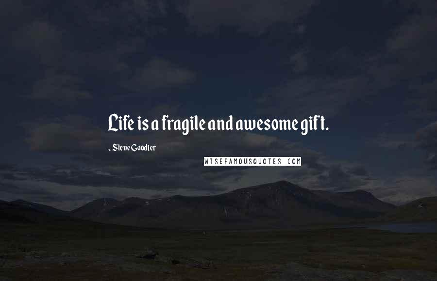 Steve Goodier Quotes: Life is a fragile and awesome gift.