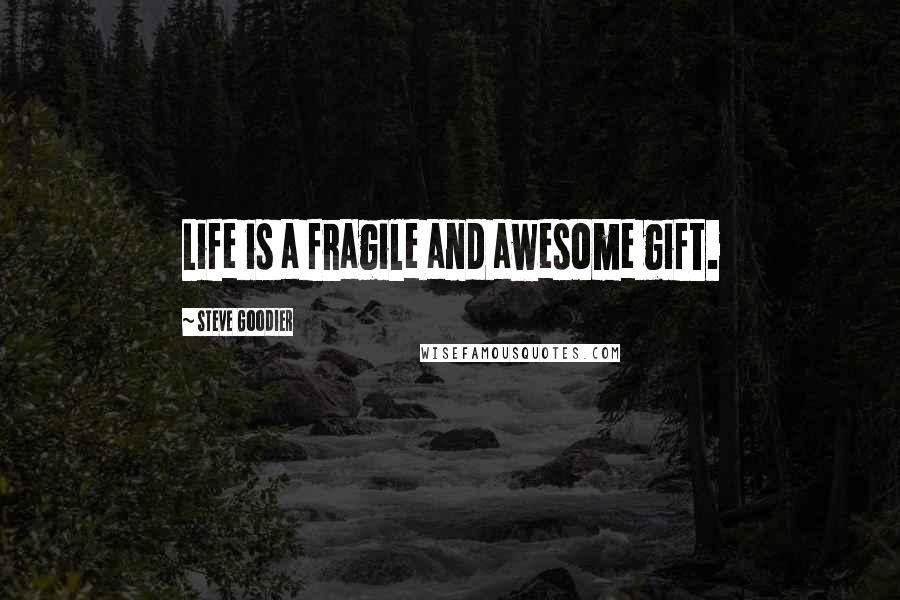 Steve Goodier Quotes: Life is a fragile and awesome gift.