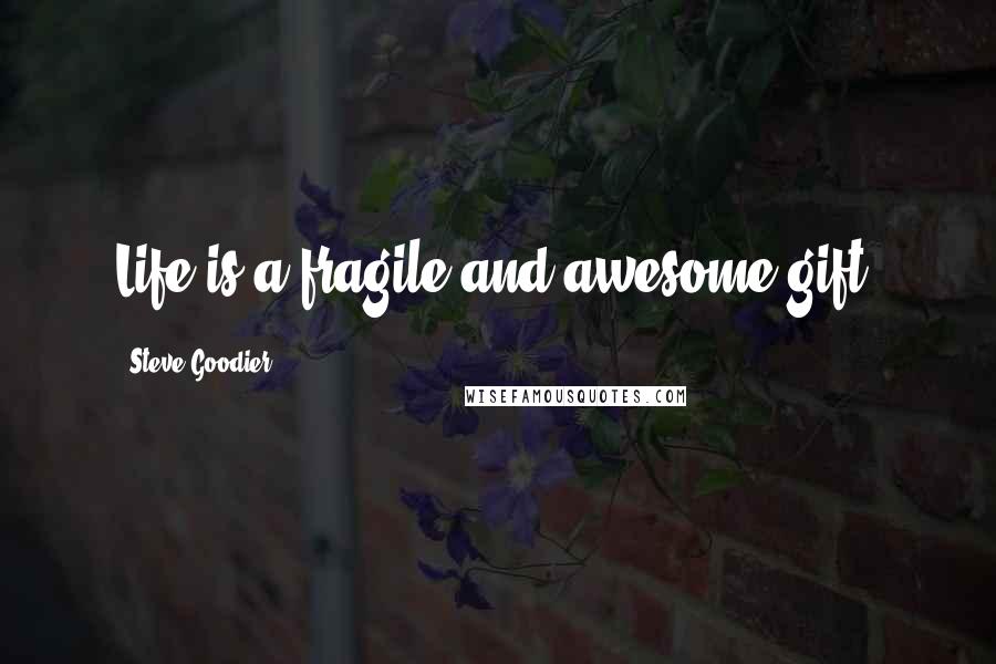 Steve Goodier Quotes: Life is a fragile and awesome gift.