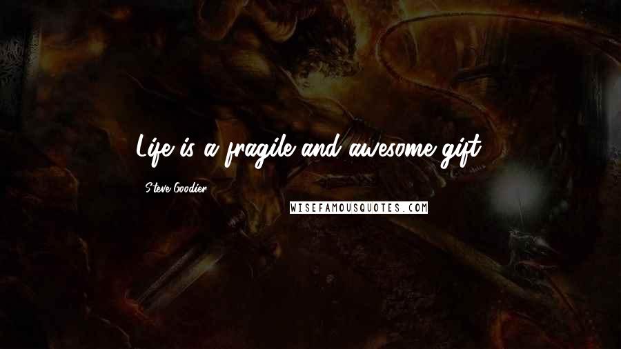 Steve Goodier Quotes: Life is a fragile and awesome gift.