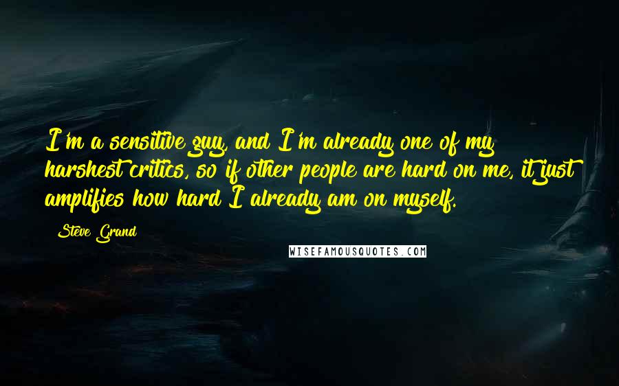 Steve Grand Quotes: I'm a sensitive guy, and I'm already one of my harshest critics, so if other people are hard on me, it just amplifies how hard I already am on myself.