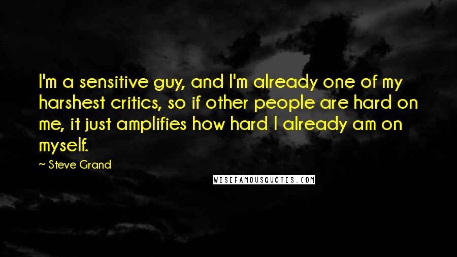 Steve Grand Quotes: I'm a sensitive guy, and I'm already one of my harshest critics, so if other people are hard on me, it just amplifies how hard I already am on myself.
