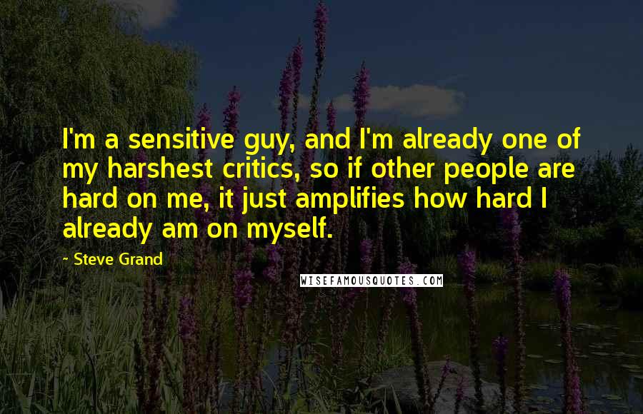 Steve Grand Quotes: I'm a sensitive guy, and I'm already one of my harshest critics, so if other people are hard on me, it just amplifies how hard I already am on myself.