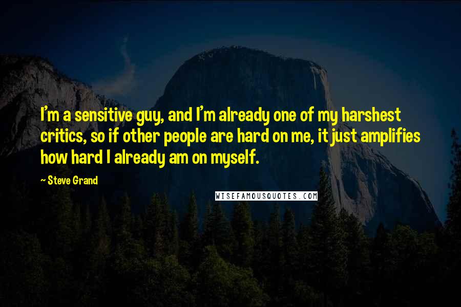 Steve Grand Quotes: I'm a sensitive guy, and I'm already one of my harshest critics, so if other people are hard on me, it just amplifies how hard I already am on myself.