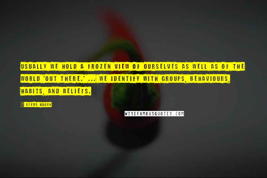 Steve Hagen Quotes: Usually we hold a frozen view of ourselves as well as of the world 'out there.' ... We identify with groups, behaviours, habits, and beliefs.