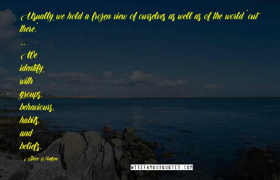 Steve Hagen Quotes: Usually we hold a frozen view of ourselves as well as of the world 'out there.' ... We identify with groups, behaviours, habits, and beliefs.