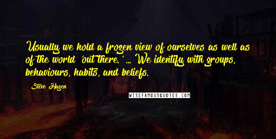 Steve Hagen Quotes: Usually we hold a frozen view of ourselves as well as of the world 'out there.' ... We identify with groups, behaviours, habits, and beliefs.