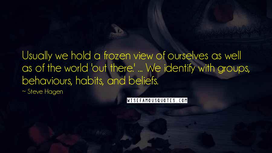Steve Hagen Quotes: Usually we hold a frozen view of ourselves as well as of the world 'out there.' ... We identify with groups, behaviours, habits, and beliefs.
