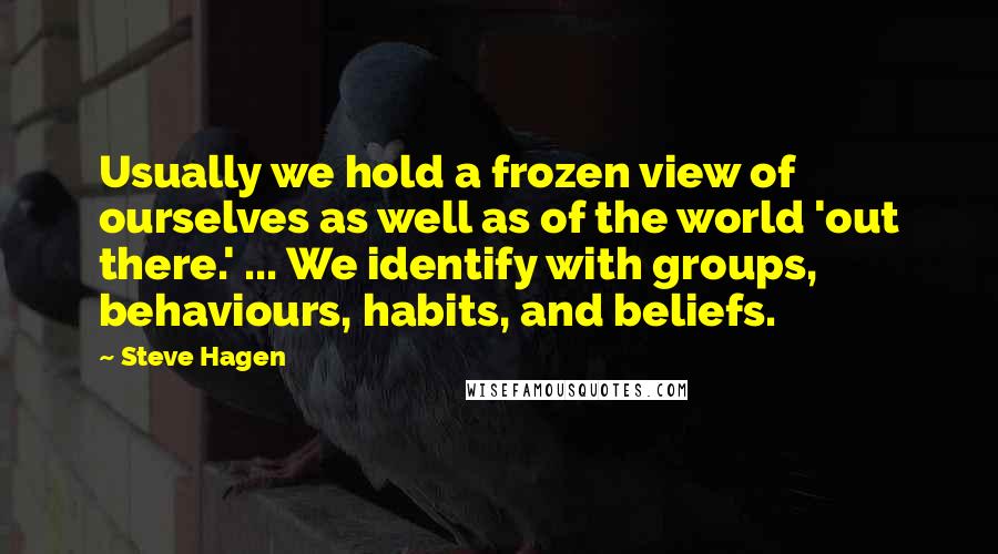 Steve Hagen Quotes: Usually we hold a frozen view of ourselves as well as of the world 'out there.' ... We identify with groups, behaviours, habits, and beliefs.