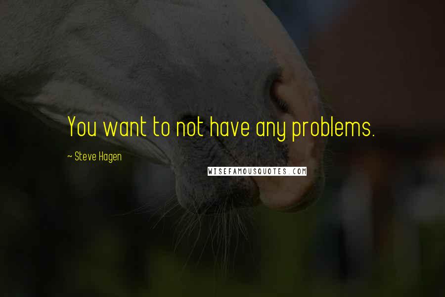 Steve Hagen Quotes: You want to not have any problems.