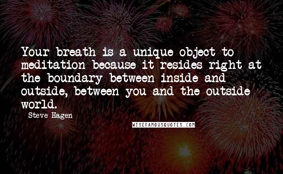 Steve Hagen Quotes: Your breath is a unique object to meditation because it resides right at the boundary between inside and outside, between you and the outside world.