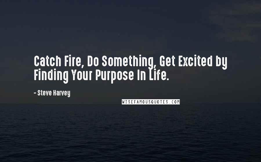 Steve Harvey Quotes: Catch Fire, Do Something, Get Excited by Finding Your Purpose In Life.