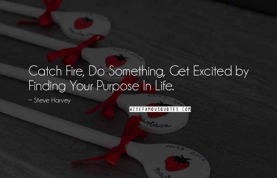 Steve Harvey Quotes: Catch Fire, Do Something, Get Excited by Finding Your Purpose In Life.