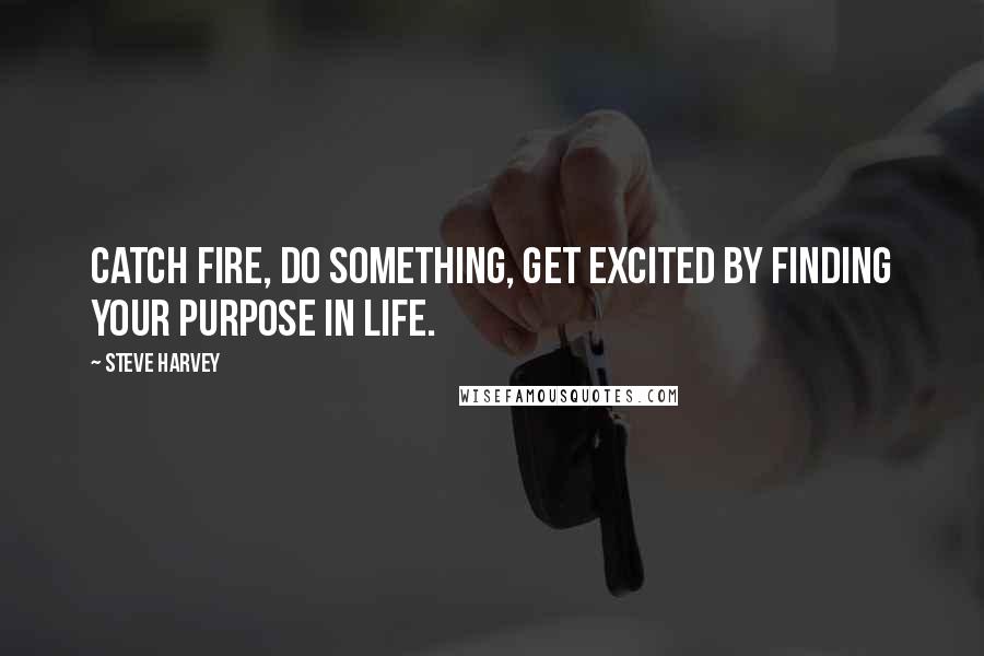 Steve Harvey Quotes: Catch Fire, Do Something, Get Excited by Finding Your Purpose In Life.