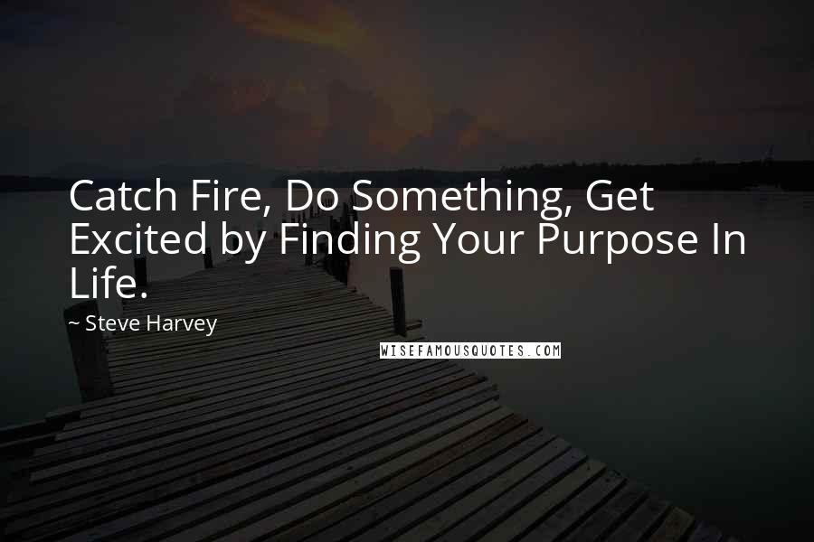 Steve Harvey Quotes: Catch Fire, Do Something, Get Excited by Finding Your Purpose In Life.