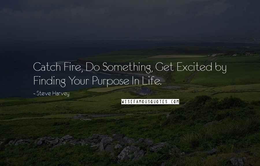 Steve Harvey Quotes: Catch Fire, Do Something, Get Excited by Finding Your Purpose In Life.