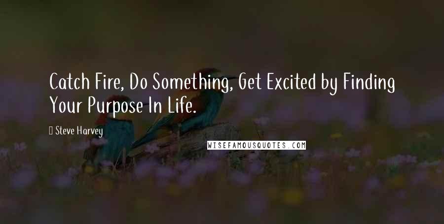 Steve Harvey Quotes: Catch Fire, Do Something, Get Excited by Finding Your Purpose In Life.