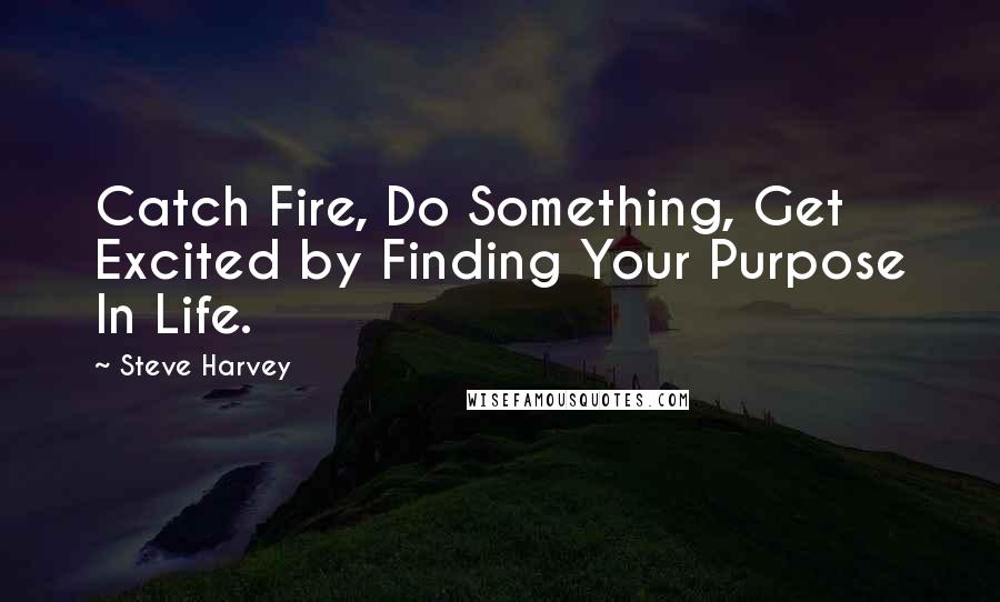 Steve Harvey Quotes: Catch Fire, Do Something, Get Excited by Finding Your Purpose In Life.