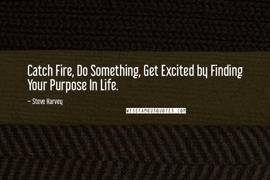 Steve Harvey Quotes: Catch Fire, Do Something, Get Excited by Finding Your Purpose In Life.