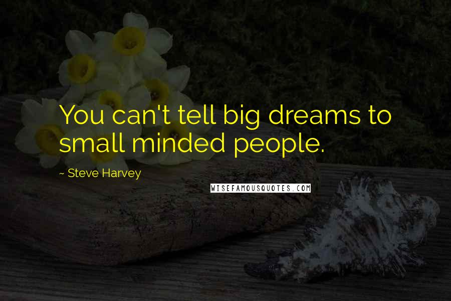 Steve Harvey Quotes: You can't tell big dreams to small minded people.