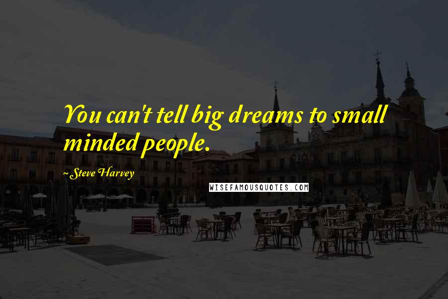 Steve Harvey Quotes: You can't tell big dreams to small minded people.
