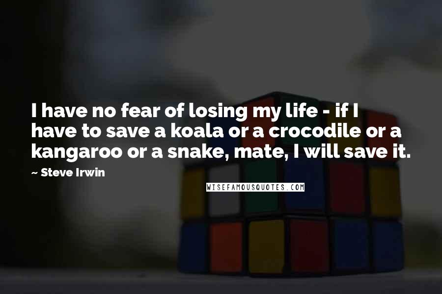 Steve Irwin Quotes: I have no fear of losing my life - if I have to save a koala or a crocodile or a kangaroo or a snake, mate, I will save it.