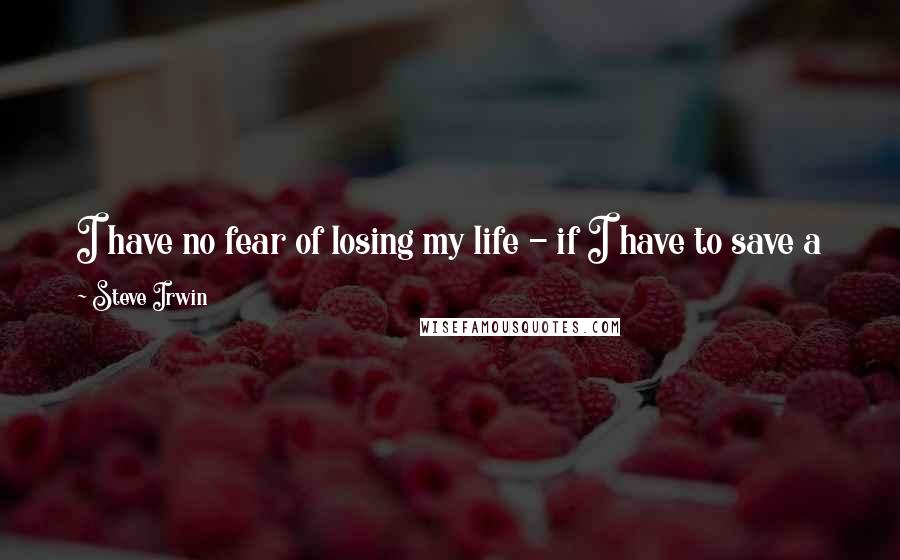 Steve Irwin Quotes: I have no fear of losing my life - if I have to save a koala or a crocodile or a kangaroo or a snake, mate, I will save it.