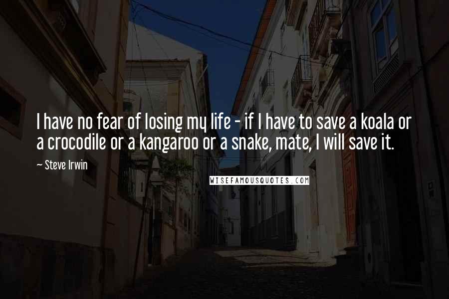 Steve Irwin Quotes: I have no fear of losing my life - if I have to save a koala or a crocodile or a kangaroo or a snake, mate, I will save it.