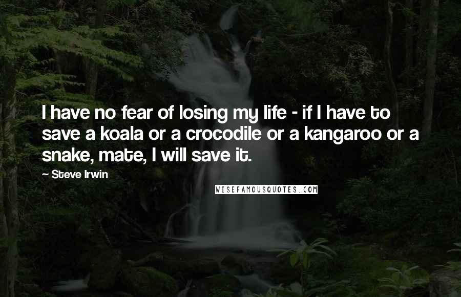 Steve Irwin Quotes: I have no fear of losing my life - if I have to save a koala or a crocodile or a kangaroo or a snake, mate, I will save it.