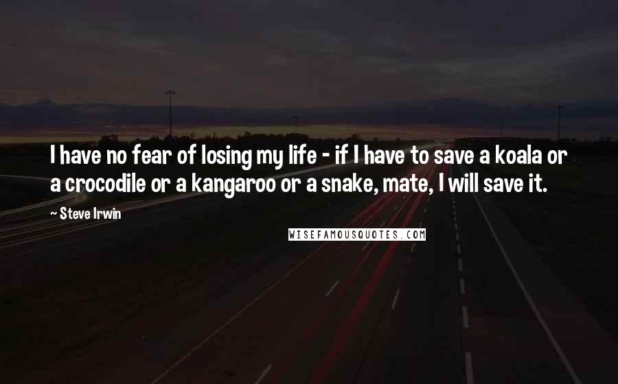 Steve Irwin Quotes: I have no fear of losing my life - if I have to save a koala or a crocodile or a kangaroo or a snake, mate, I will save it.