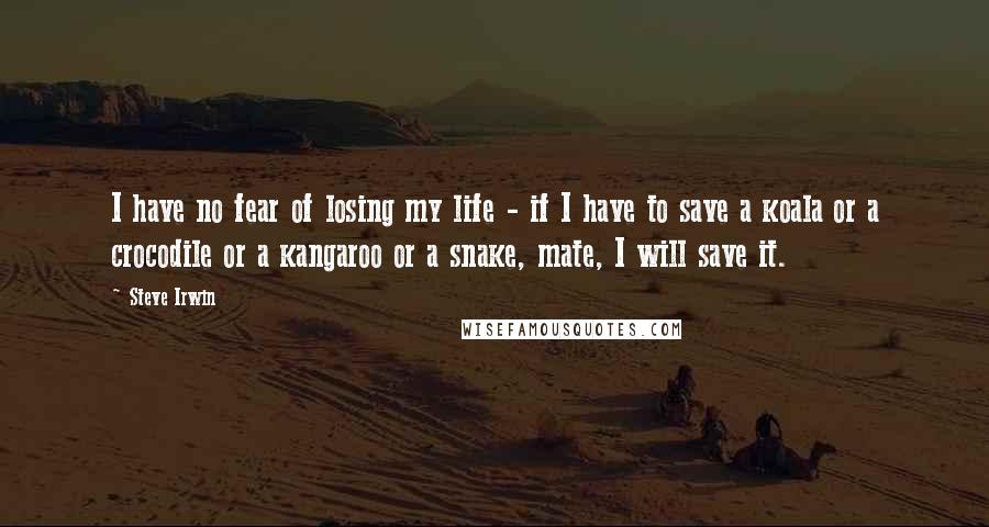 Steve Irwin Quotes: I have no fear of losing my life - if I have to save a koala or a crocodile or a kangaroo or a snake, mate, I will save it.