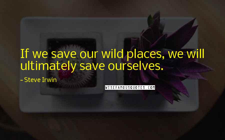 Steve Irwin Quotes: If we save our wild places, we will ultimately save ourselves.