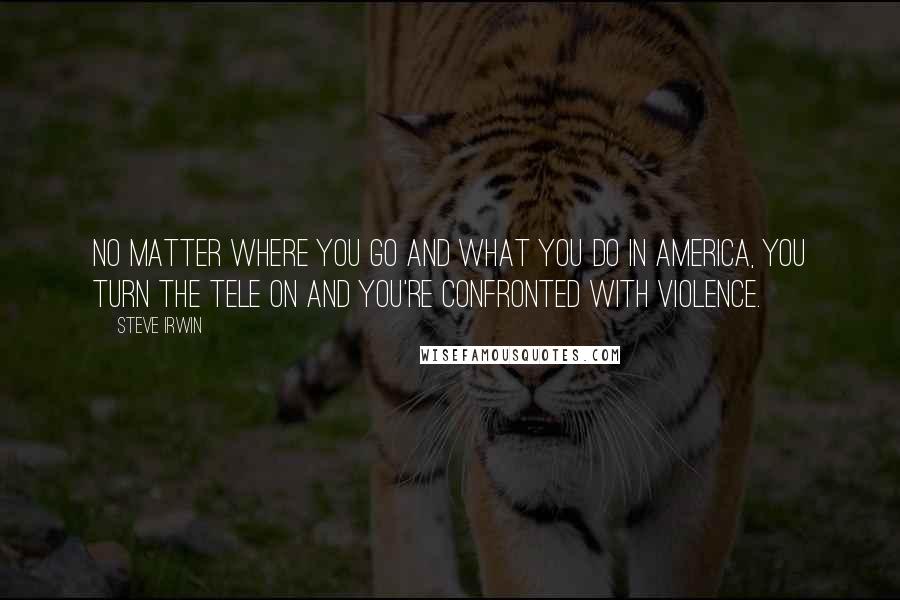 Steve Irwin Quotes: No matter where you go and what you do in America, you turn the tele on and you're confronted with violence.