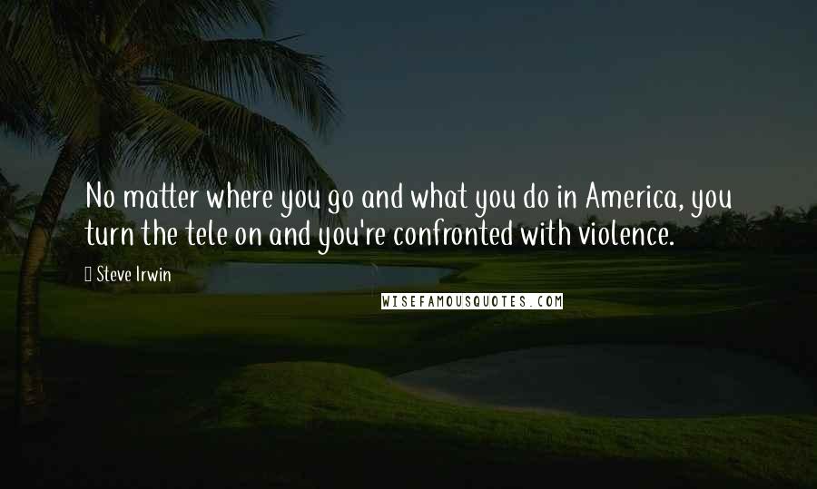 Steve Irwin Quotes: No matter where you go and what you do in America, you turn the tele on and you're confronted with violence.