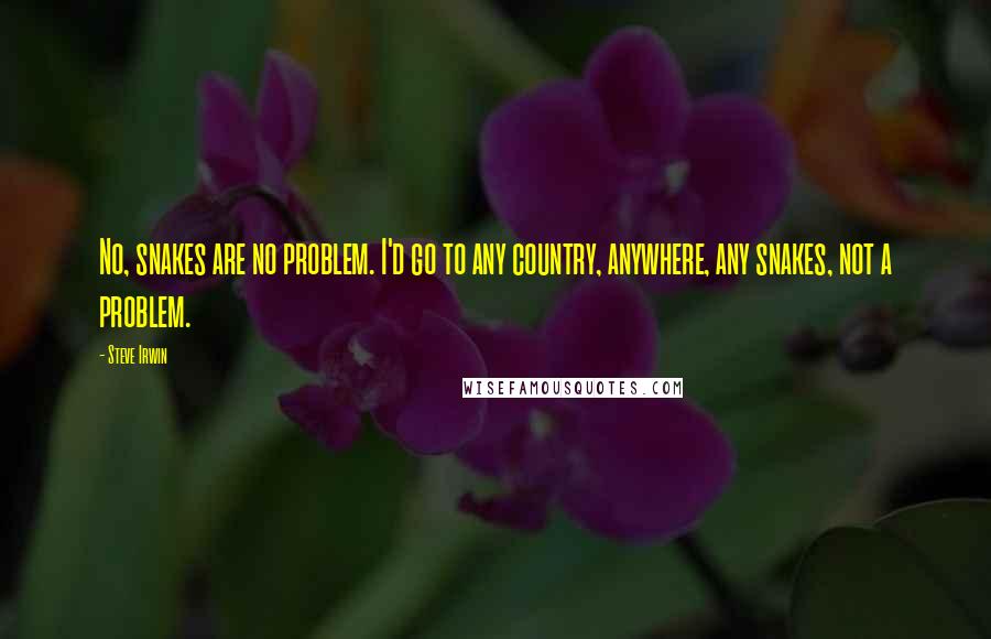 Steve Irwin Quotes: No, snakes are no problem. I'd go to any country, anywhere, any snakes, not a problem.